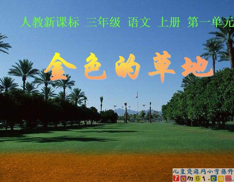 金色的草地