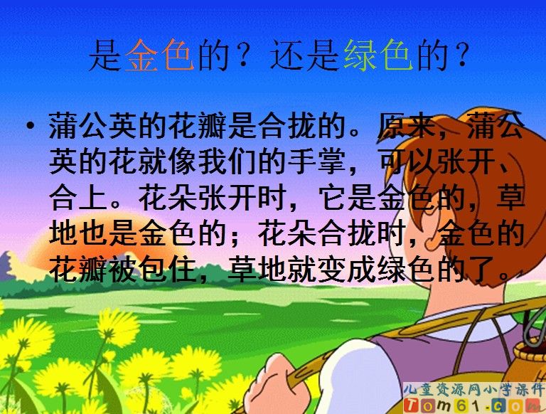 金色的草地