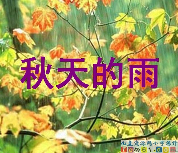 秋天的雨