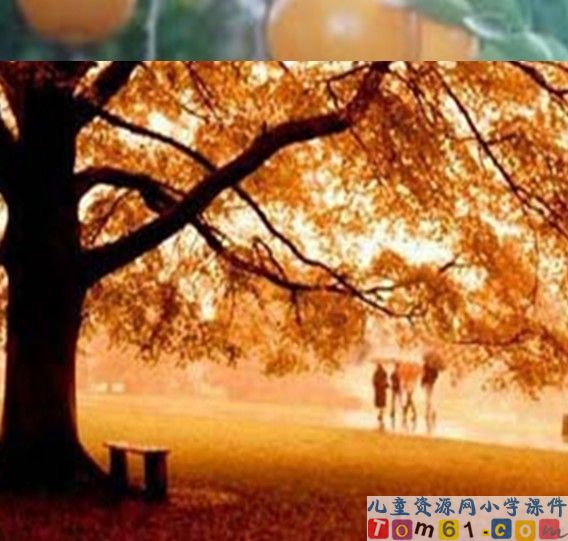秋天的雨