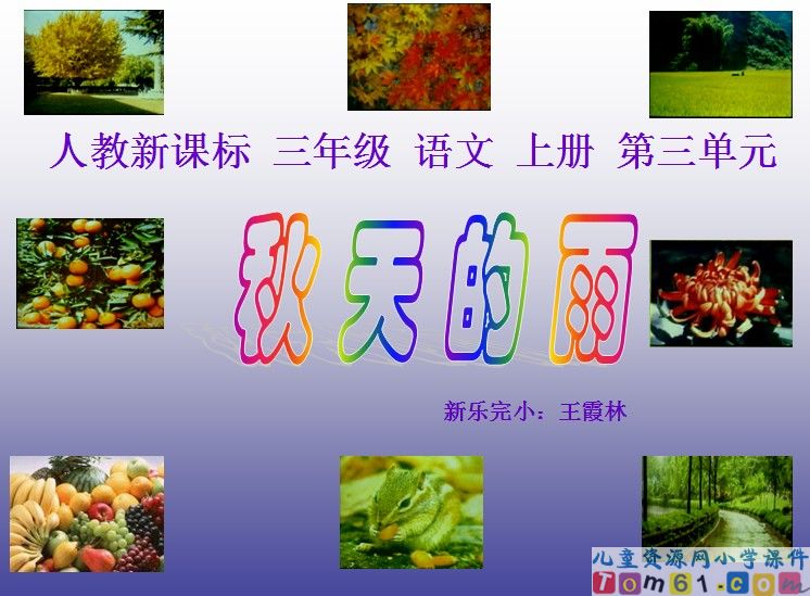 秋天的雨