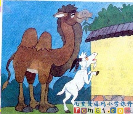 找骆驼
