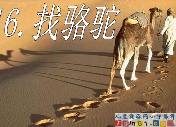 找骆驼