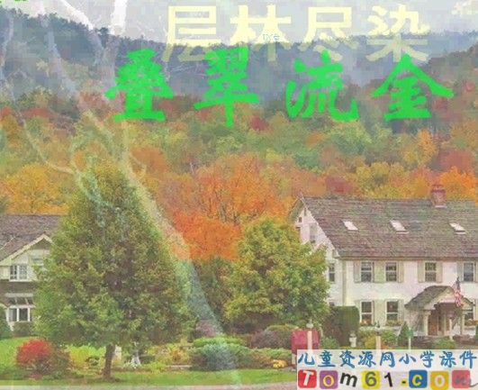 秋天的雨