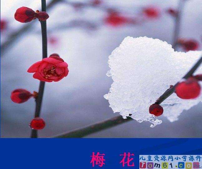 花钟