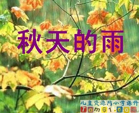 秋天的雨