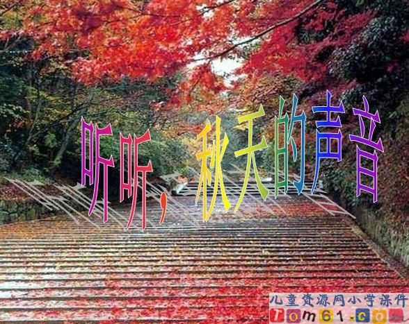 听听秋的声音