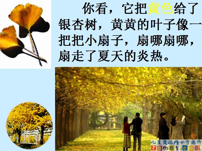 秋天的雨