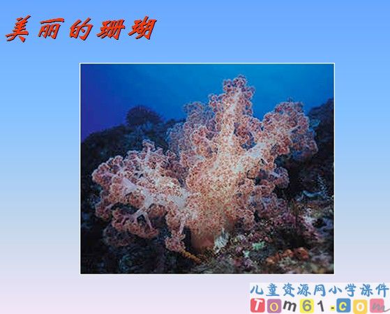 富饶的西沙群岛