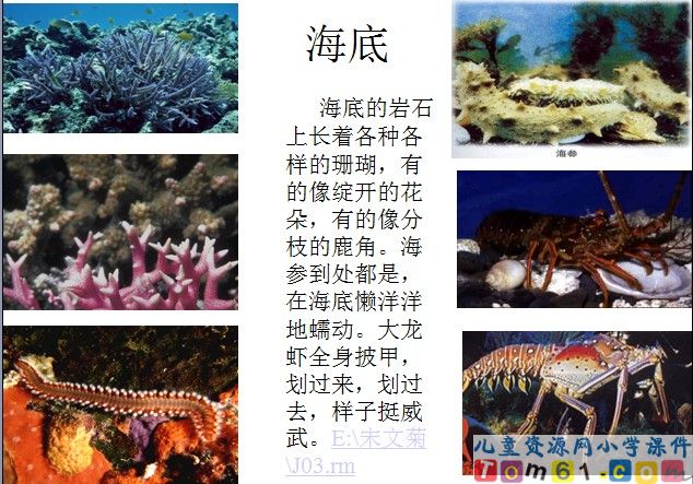 富饶的西沙群岛