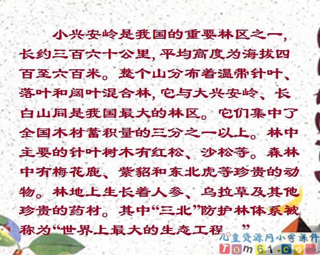 美丽的小兴安岭