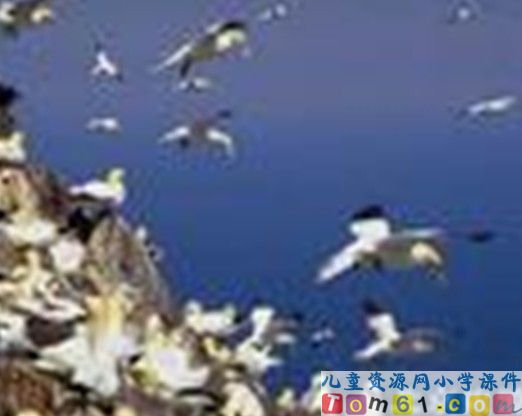 富饶的西沙群岛