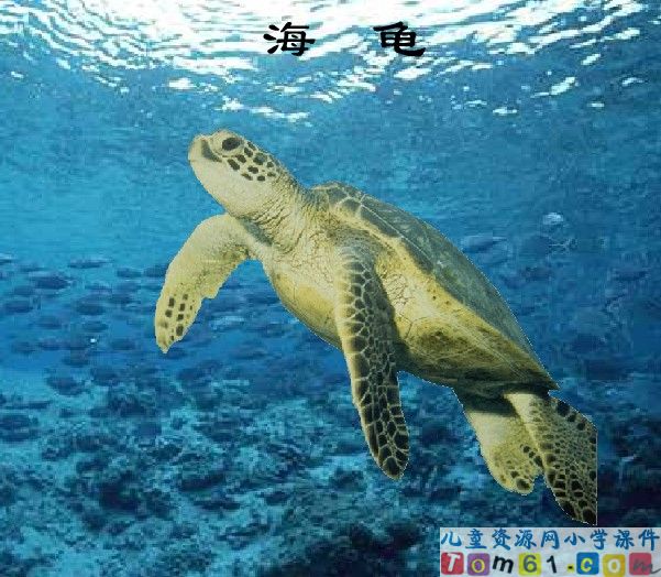 富饶的西沙群岛
