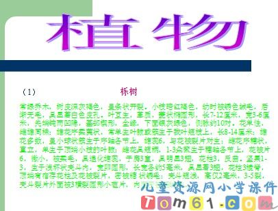 美丽的小兴安岭