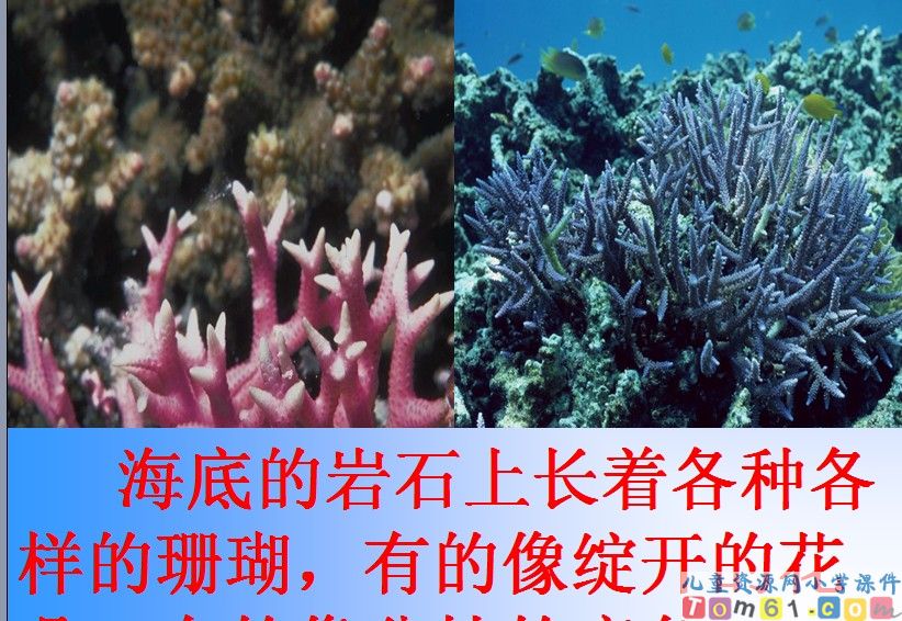 富饶的西沙群岛