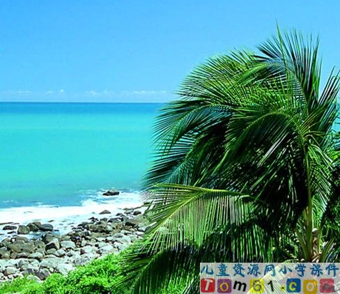 富饶的西沙群岛