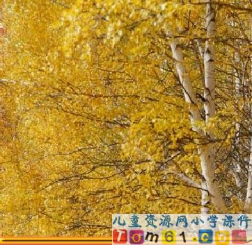 美丽的小兴安岭