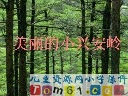 美丽的小兴安岭