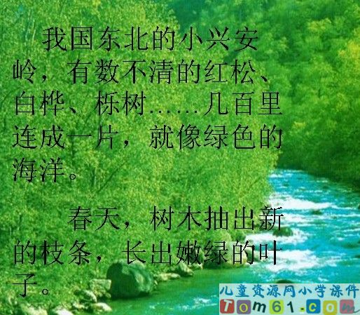 美丽的小兴安岭