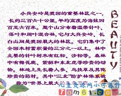 美丽的小兴安岭