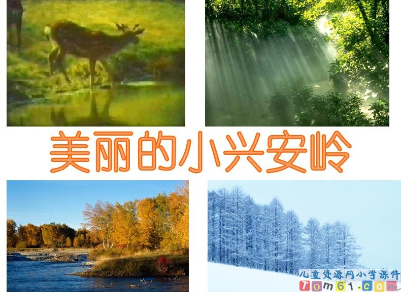 美丽的小兴安岭