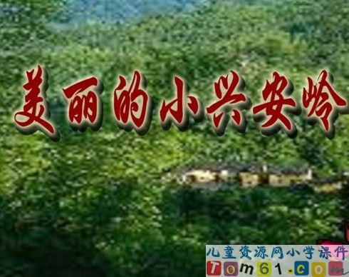 美丽的小兴安岭