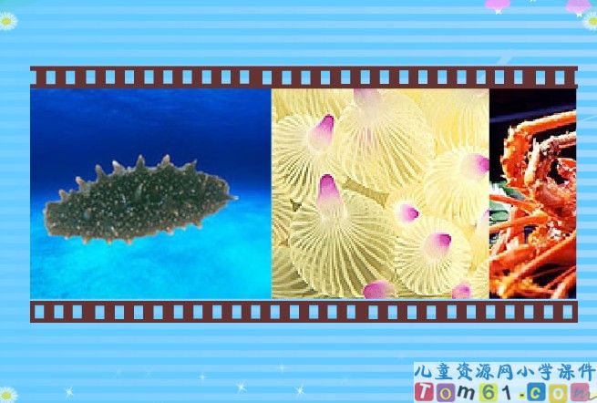 富饶的西沙群岛