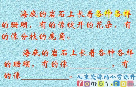 富饶的西沙群岛