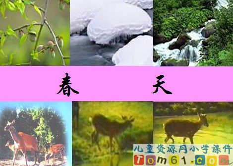 美丽的小兴安岭