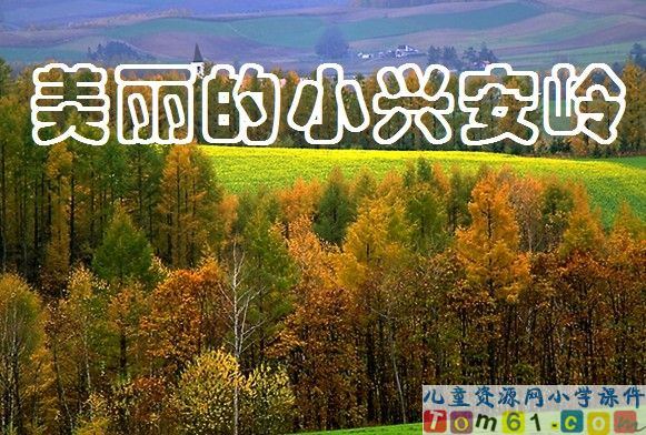 美丽的小兴安岭