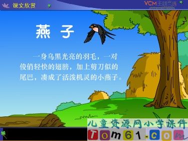 燕子课件1
