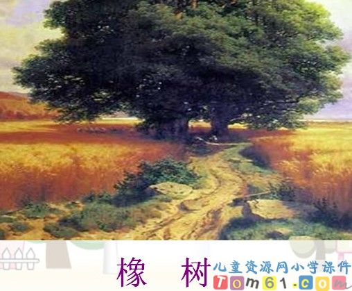 路旁的橡树课件1