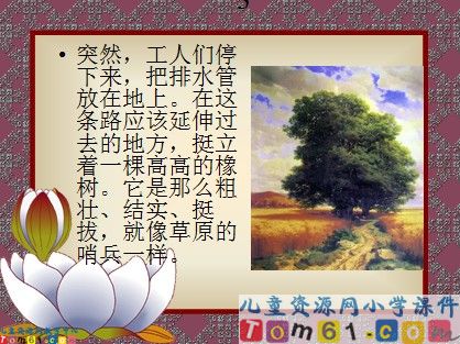 路旁的橡树课件3