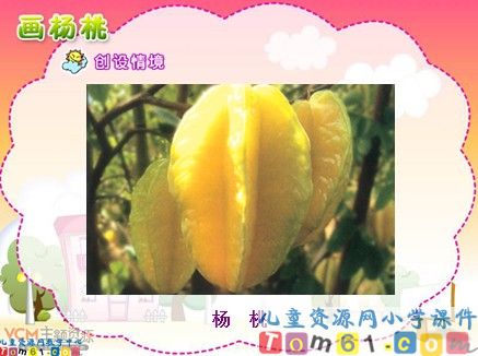画杨桃课件1