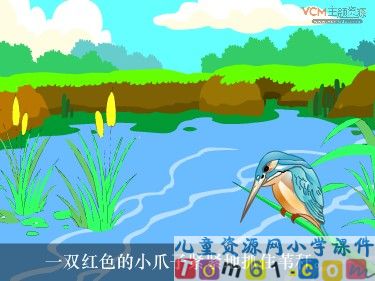 翠鸟课件1