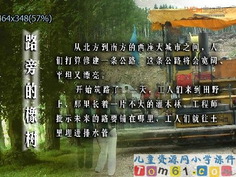 路旁的橡树课件2