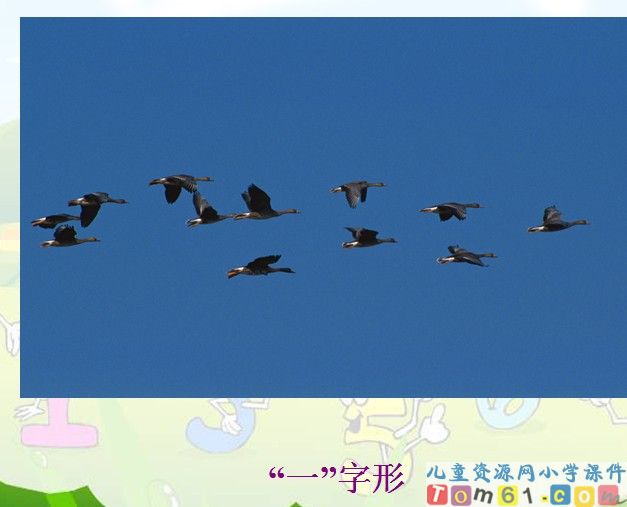 惊弓之鸟