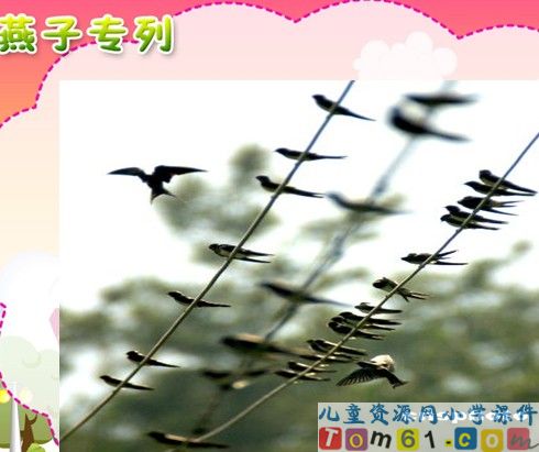 燕子专列