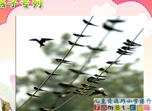 燕子专列