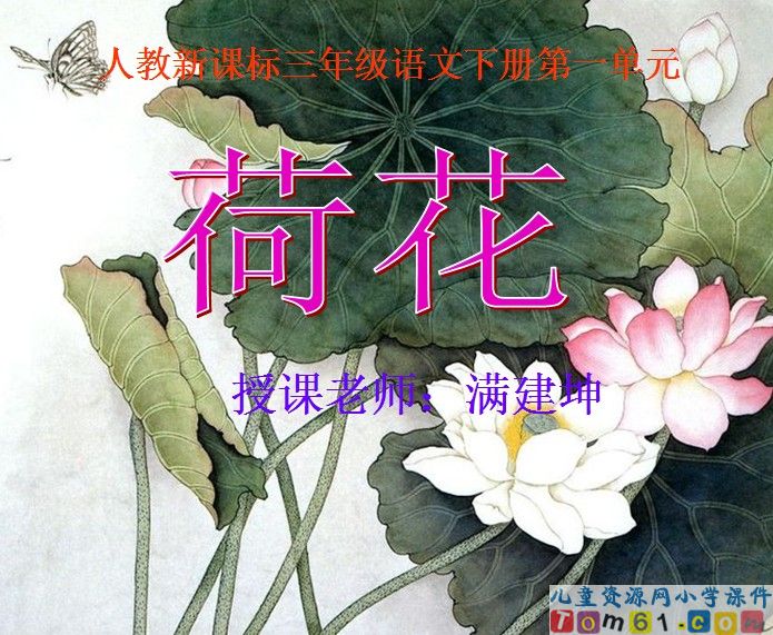荷花