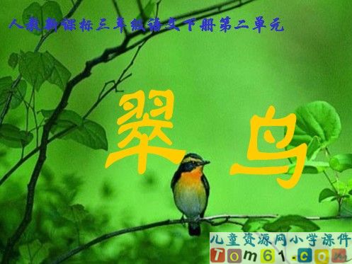 翠鸟