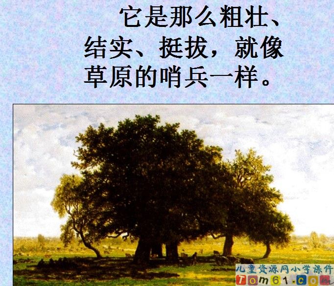 路旁的橡树