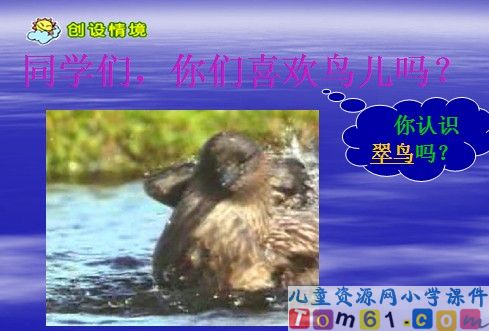 翠鸟