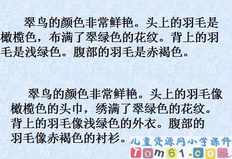 翠鸟