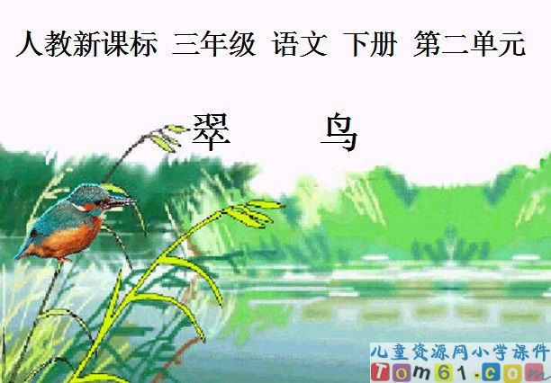 翠鸟