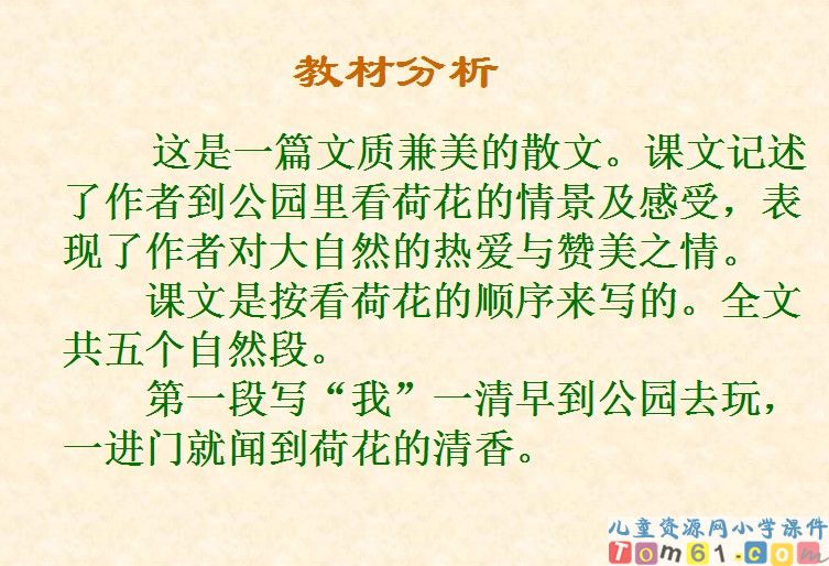 荷花