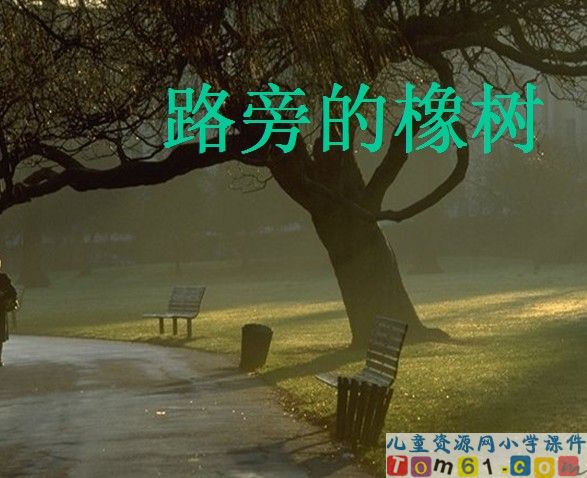 路旁的橡树