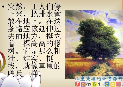 路旁的橡树