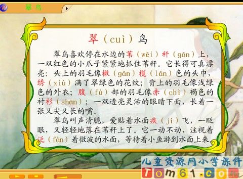 翠鸟