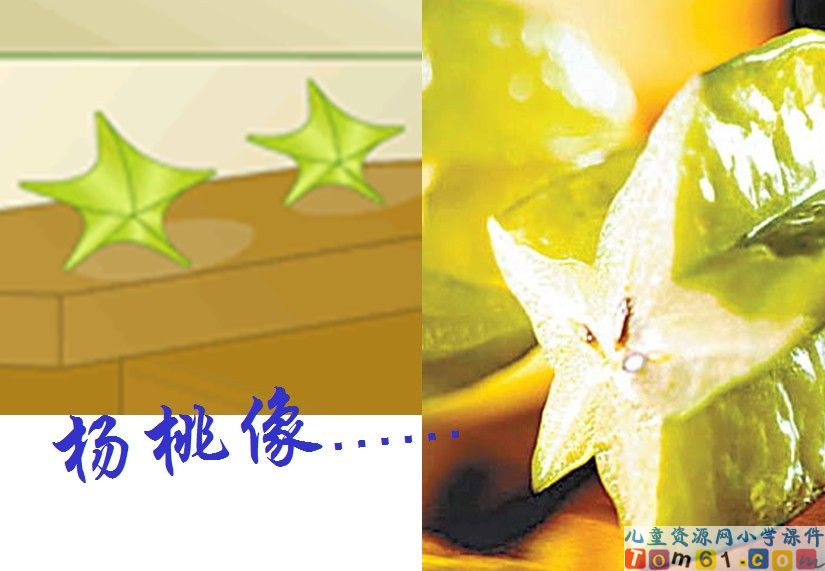 画杨桃